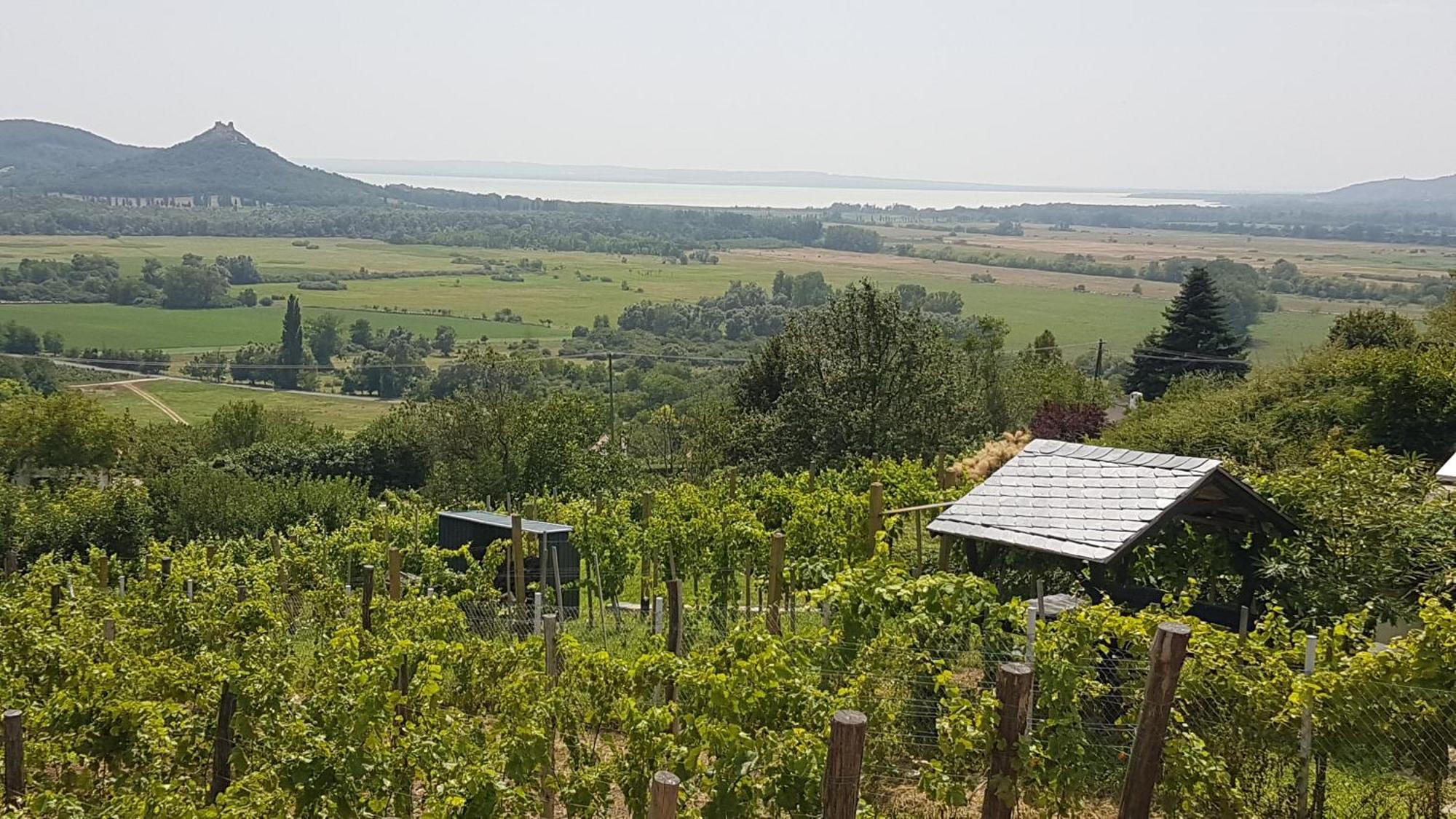 Grand Cru 4 Vendeghaz Villa Hegymagas Buitenkant foto